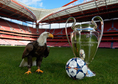 名记：本·西蒙斯暂别NBA生涯，成为船队老板开始职业钓鱼（名记：本·西蒙斯暂时离开NBA，改行做钓鱼船队老板进军职业垂钓）